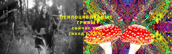 эйфоретик Богданович