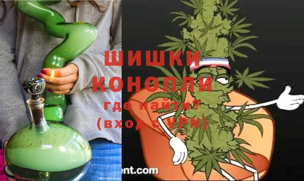 крисы Белоозёрский