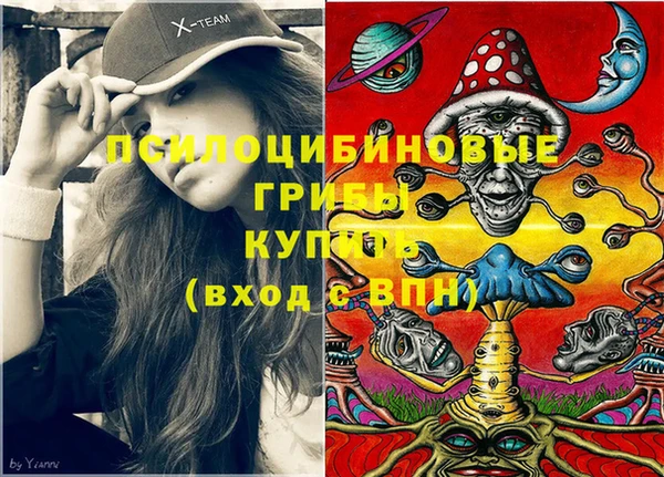эйфоретик Богданович