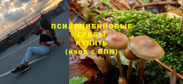 ешки Богородицк
