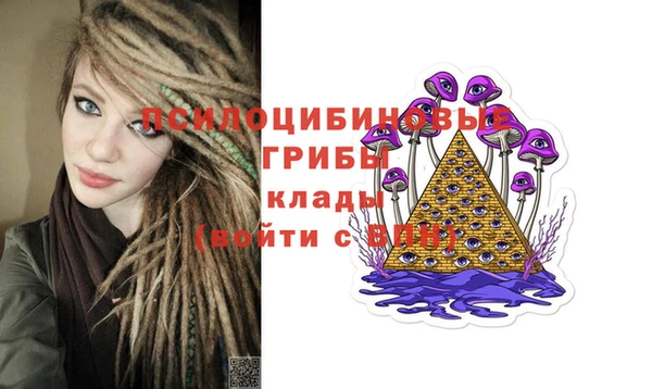 крисы Белоозёрский