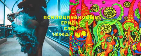кокс Белокуриха