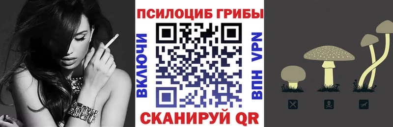 Галлюциногенные грибы мицелий  Купить  Макушино 